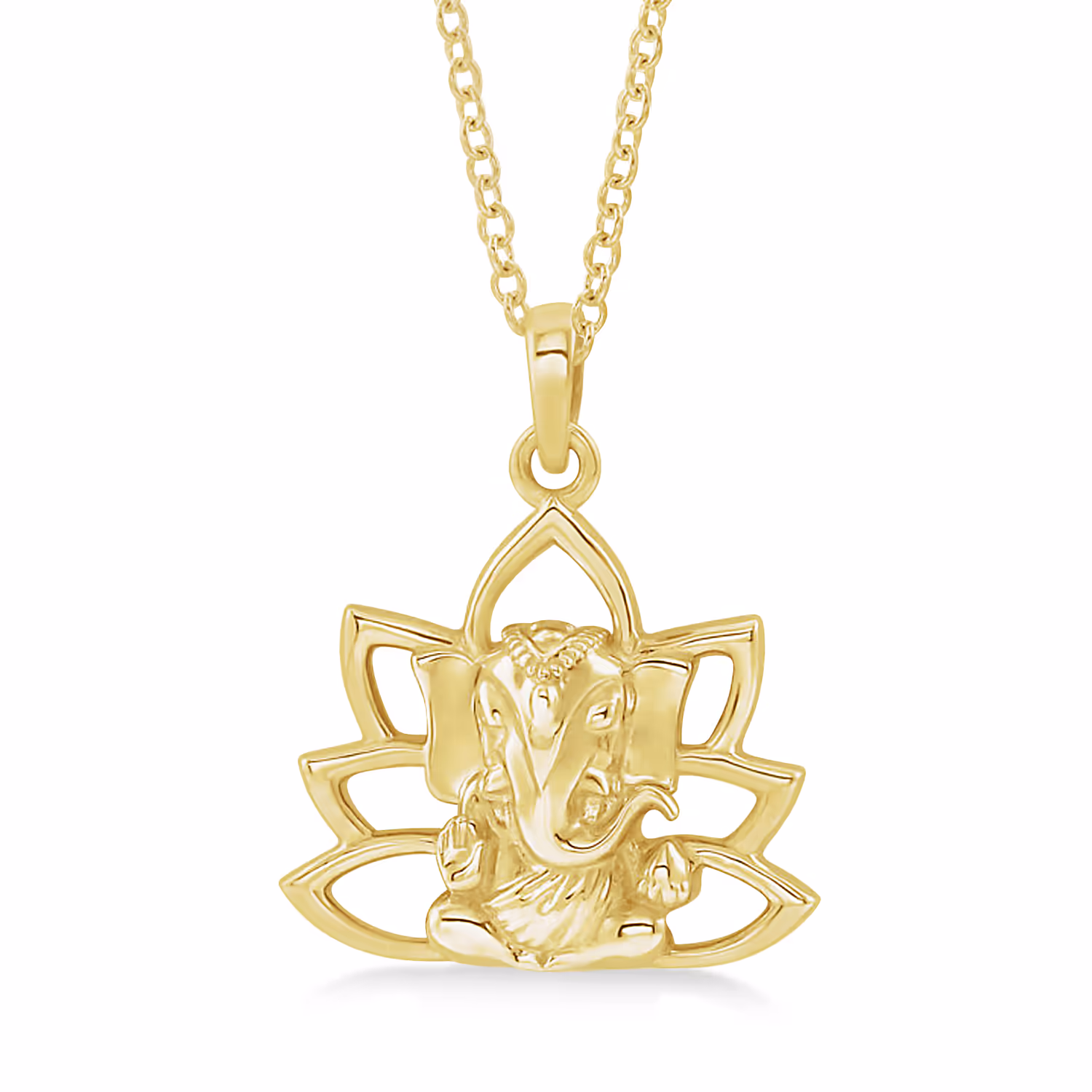 What is the meaning of Ganesh? What is the meaning of Ganesh?