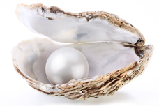 Pearls Pearls