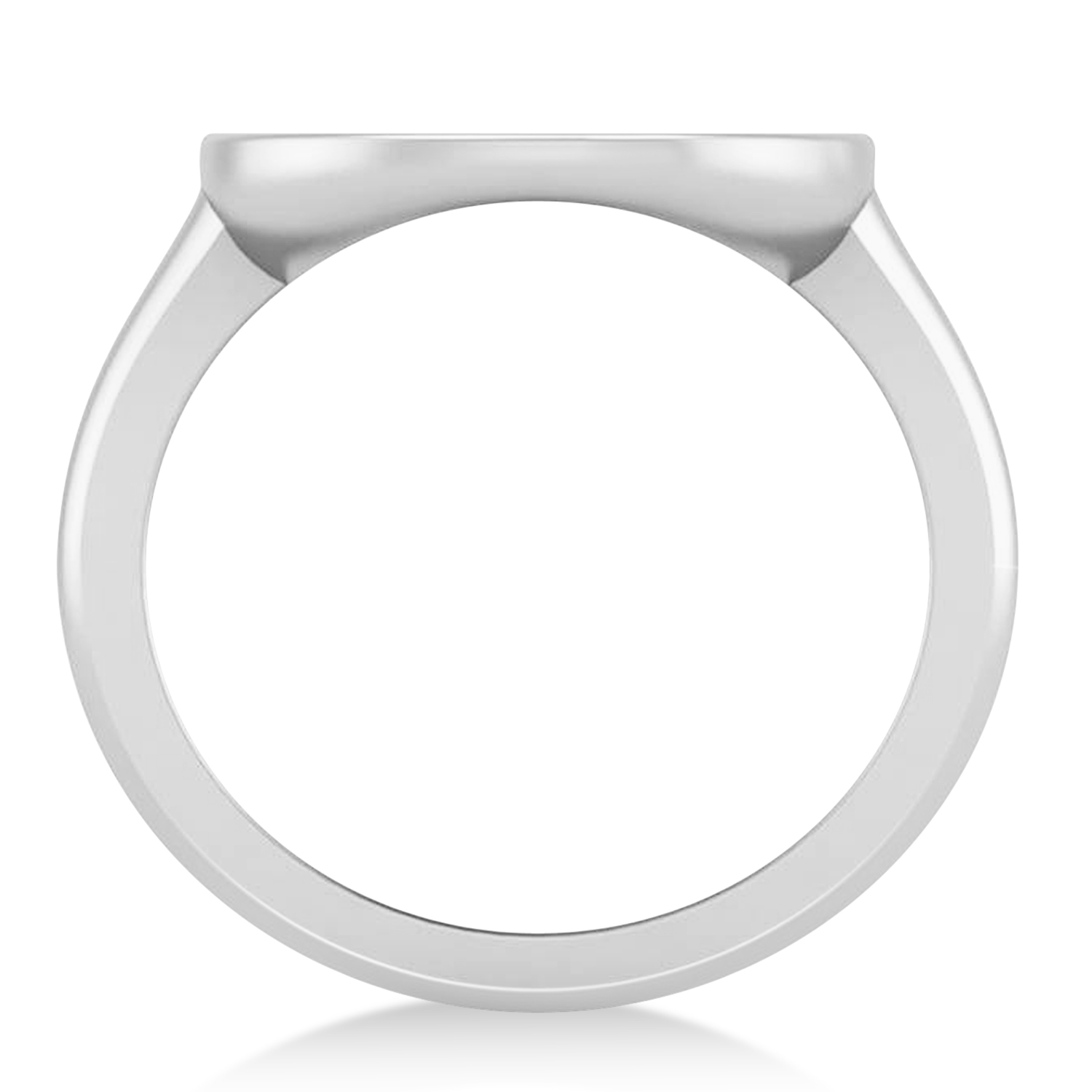 Capricorn Disk Zodiac Ring 14k White Gold
