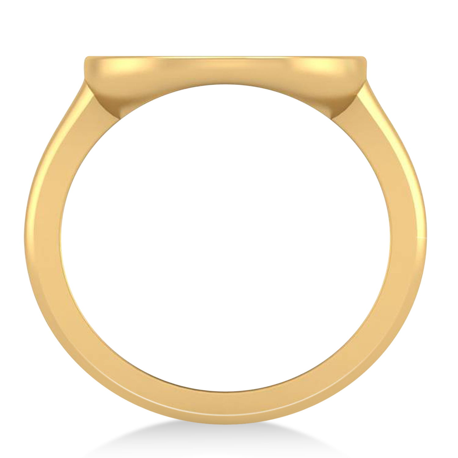 Capricorn Disk Zodiac Ring 14k Yellow Gold