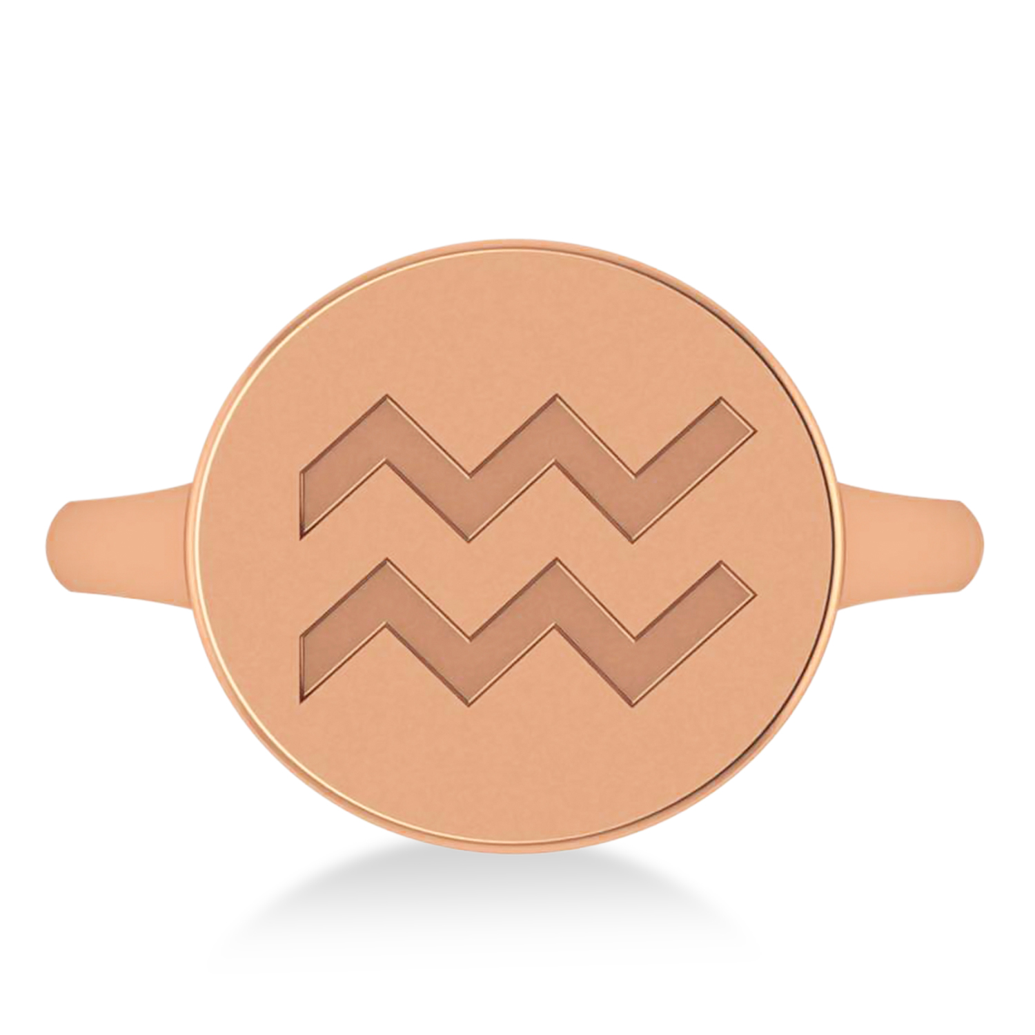 Aquarius Disk Zodiac Ring 14k Rose Gold