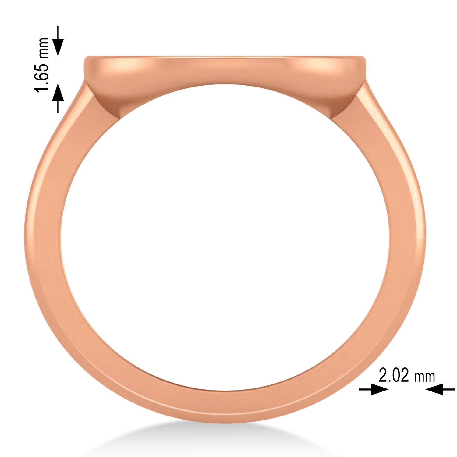 Aquarius Disk Zodiac Ring 14k Rose Gold