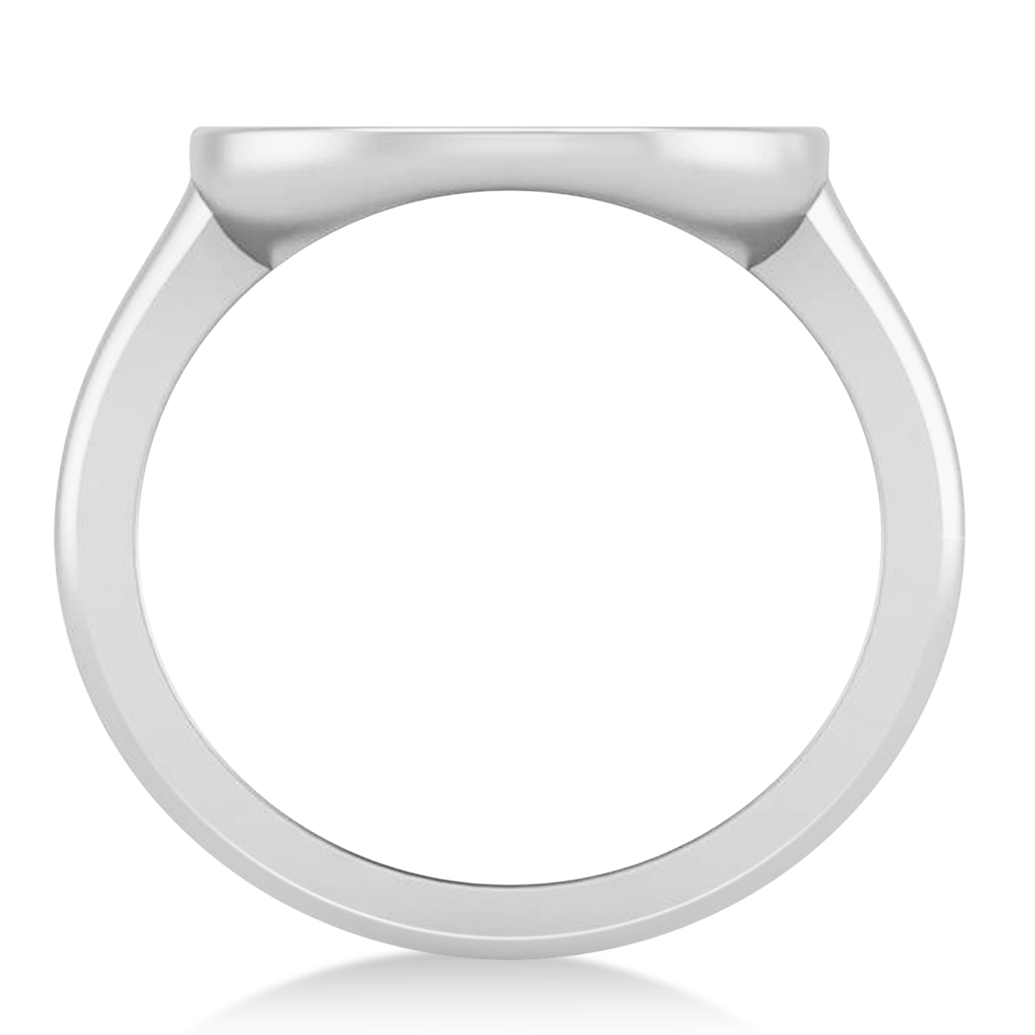 Aquarius Disk Zodiac Ring 14k White Gold
