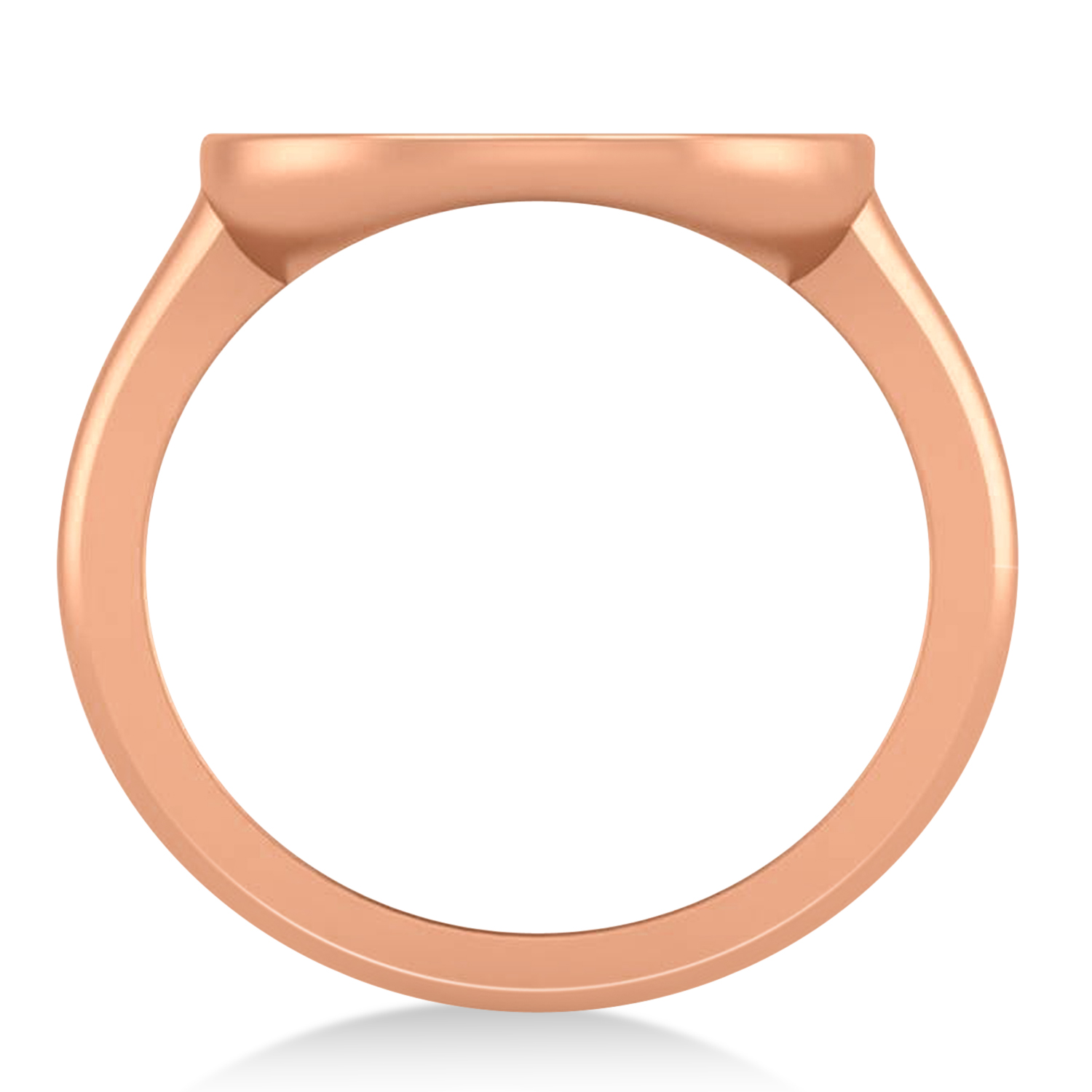 Pisces Disk Zodiac Ring 14k Rose Gold