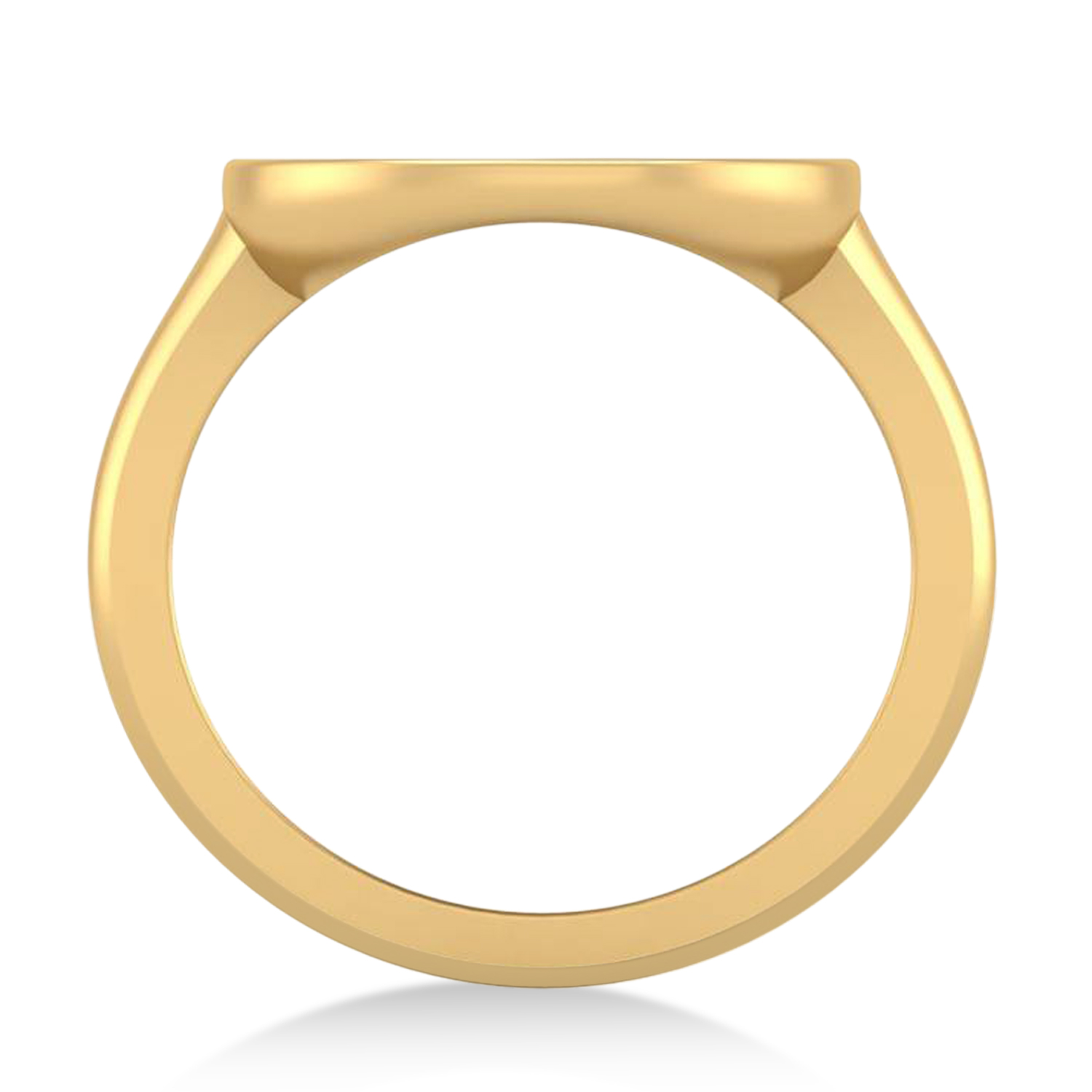 Leo Disk Zodiac Ring 14k Yellow Gold