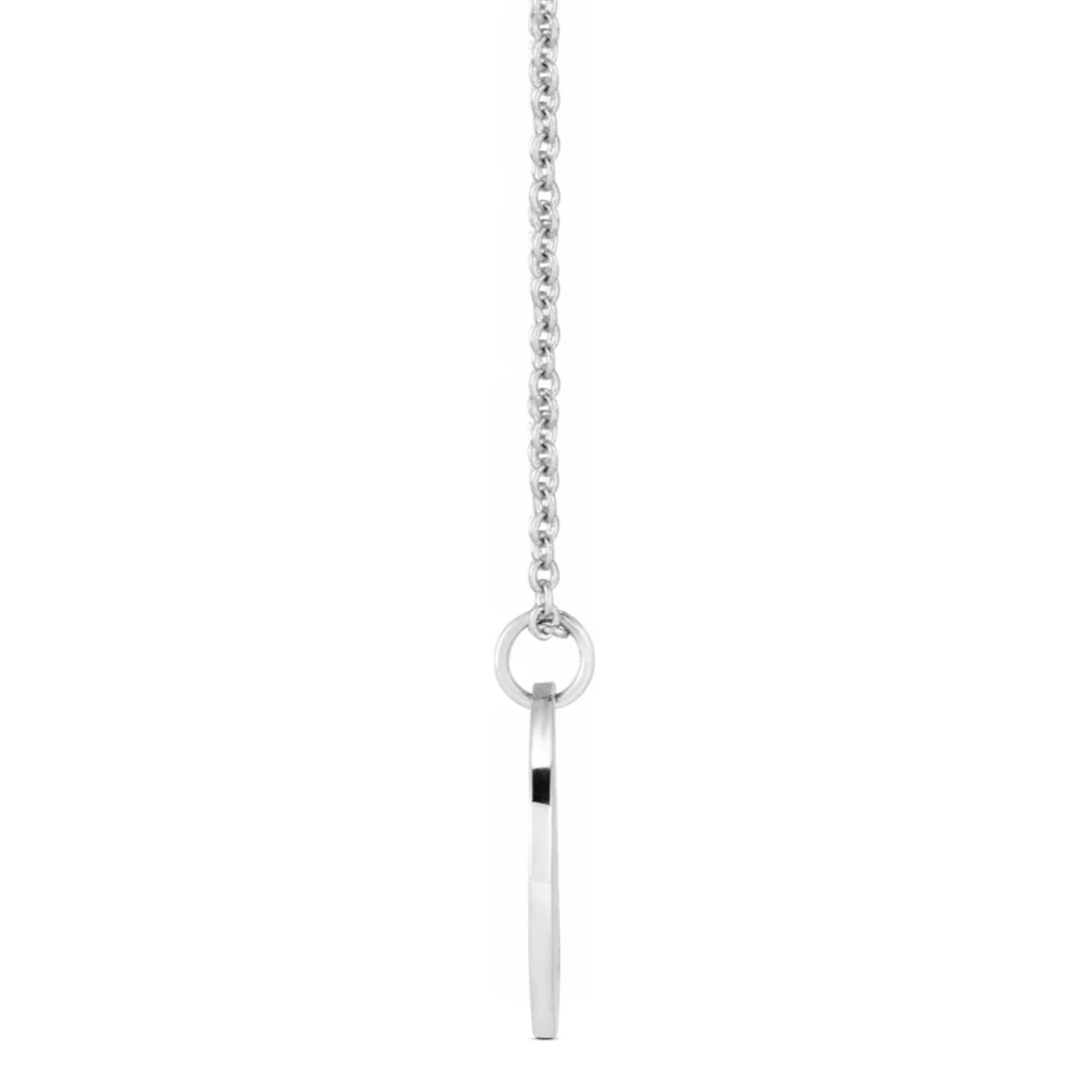 December Birth Flower Narcissus Disc Pendant Necklace 14K White Gold