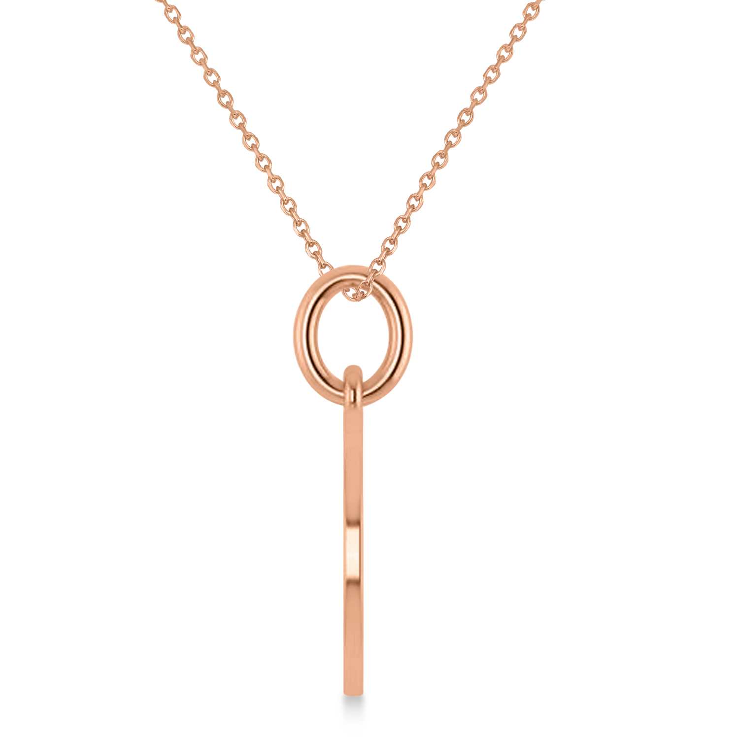 Aquarius Disk Zodiac Pendant Necklace 14k Rose Gold