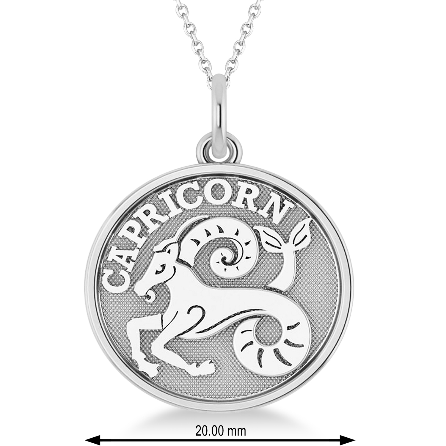 Capricorn Coin Zodiac Pendant Necklace 14k White Gold