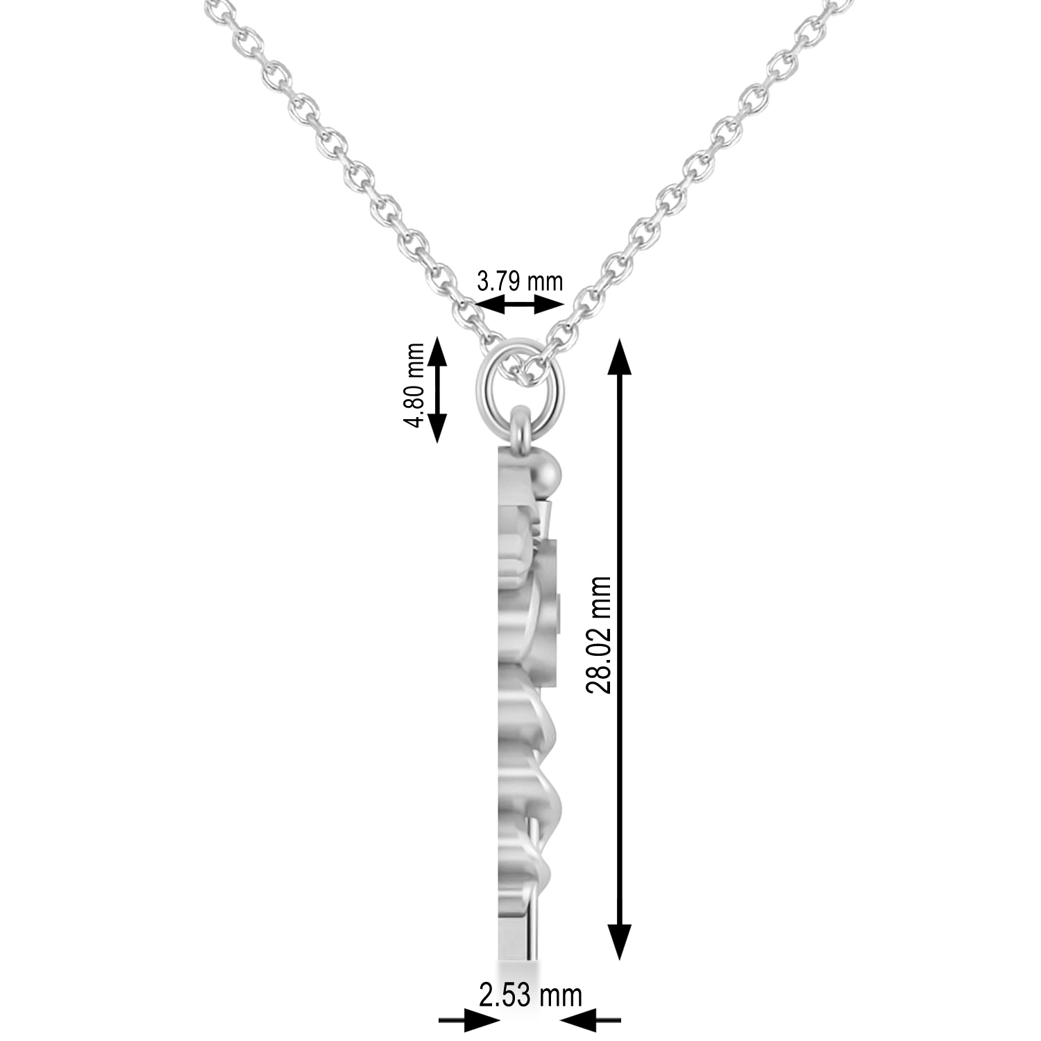 Caduceus Registered Dental Hygienist Pendant Necklace 14k White Gold