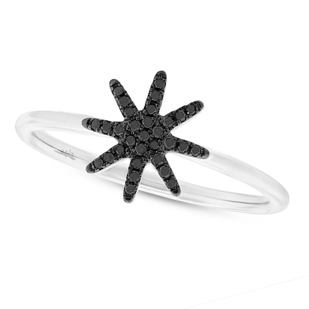 0.10ct 14k White Gold Black Diamond Lady's Ring