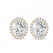 Oval Lab Moissanite & Halo Lab Grown Diamond Stud Earrings 14k Rose Gold 3.82ct