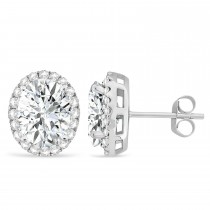 Oval Lab Moissanite & Halo Lab Grown Diamond Stud Earrings 14k White Gold 3.82ct